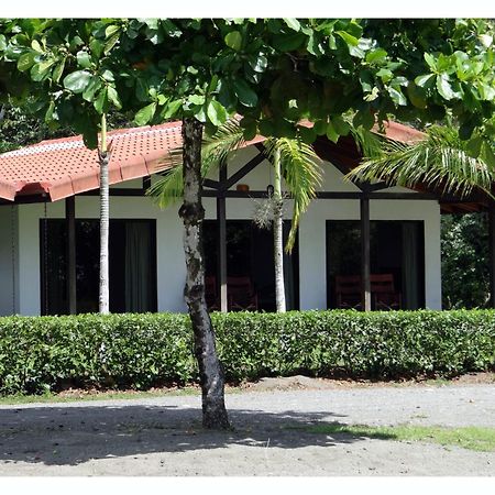 Agua Dulce On The Beach Puerto Jimenez Exterior photo