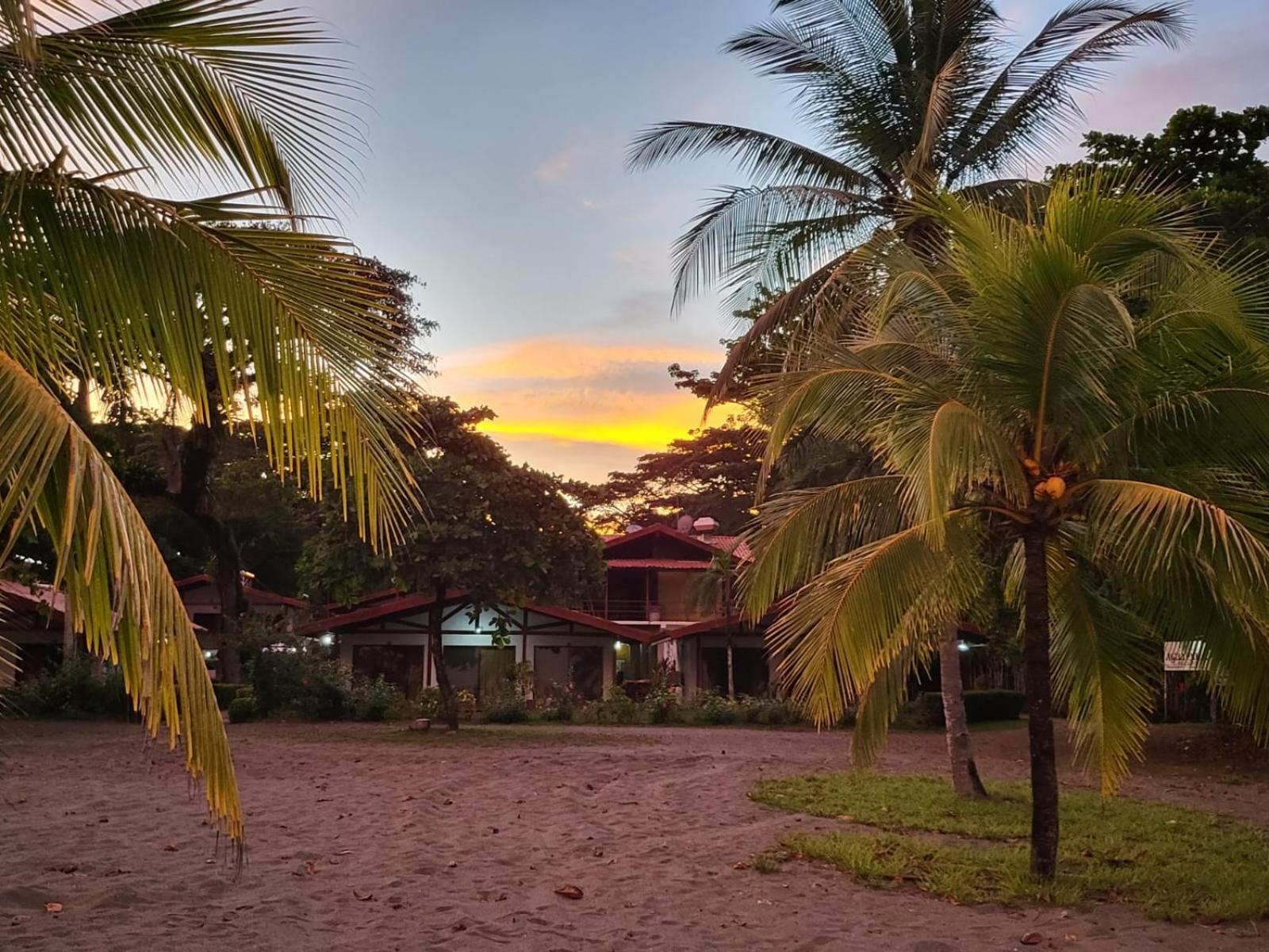 Agua Dulce On The Beach Puerto Jimenez Exterior photo