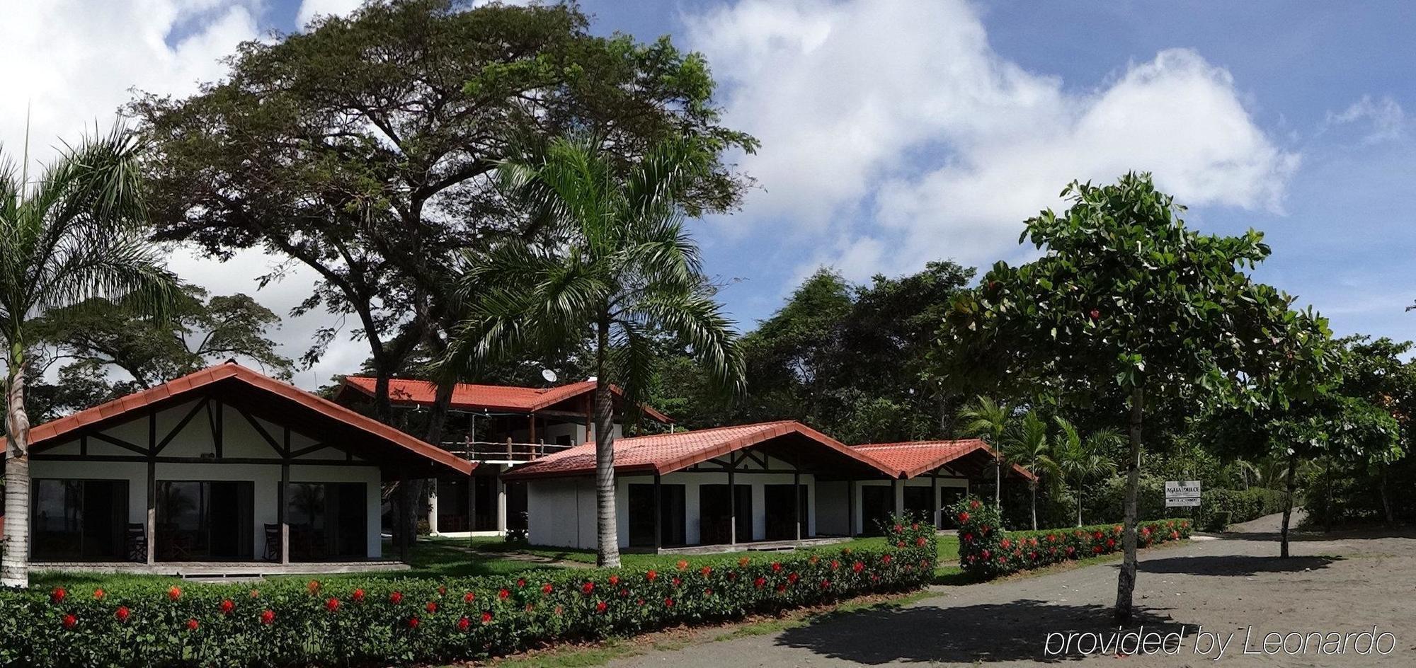 Agua Dulce On The Beach Puerto Jimenez Exterior photo