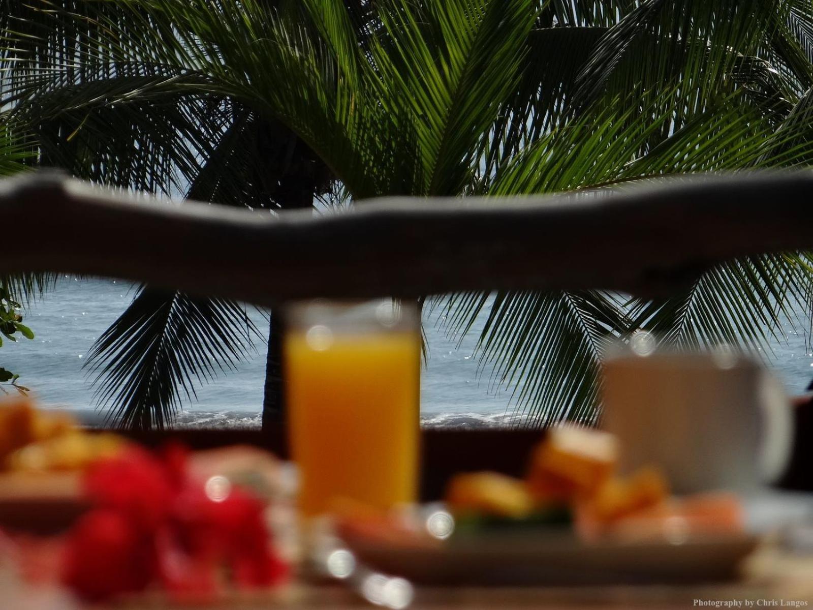 Agua Dulce On The Beach Puerto Jimenez Exterior photo