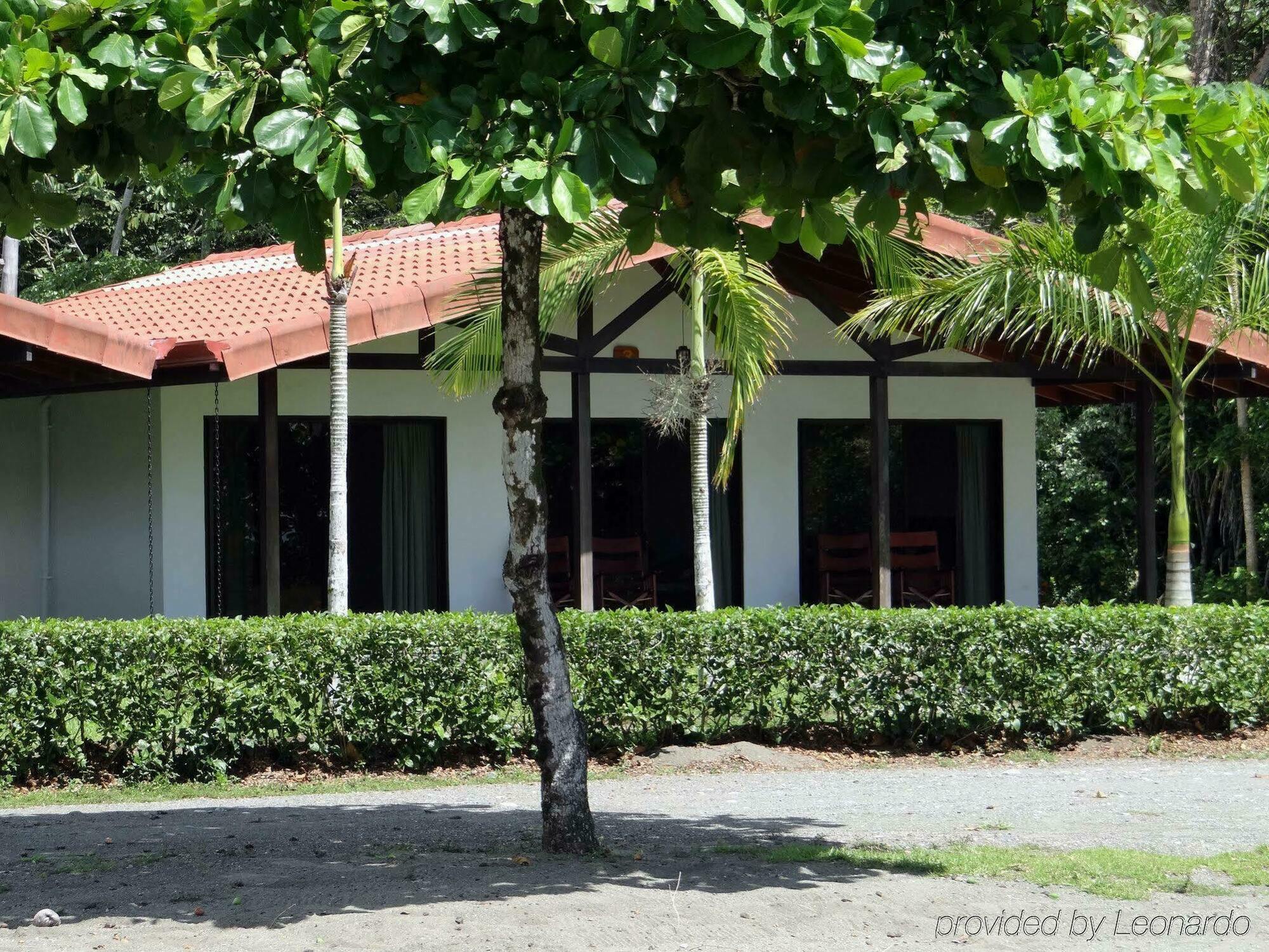 Agua Dulce On The Beach Puerto Jimenez Exterior photo